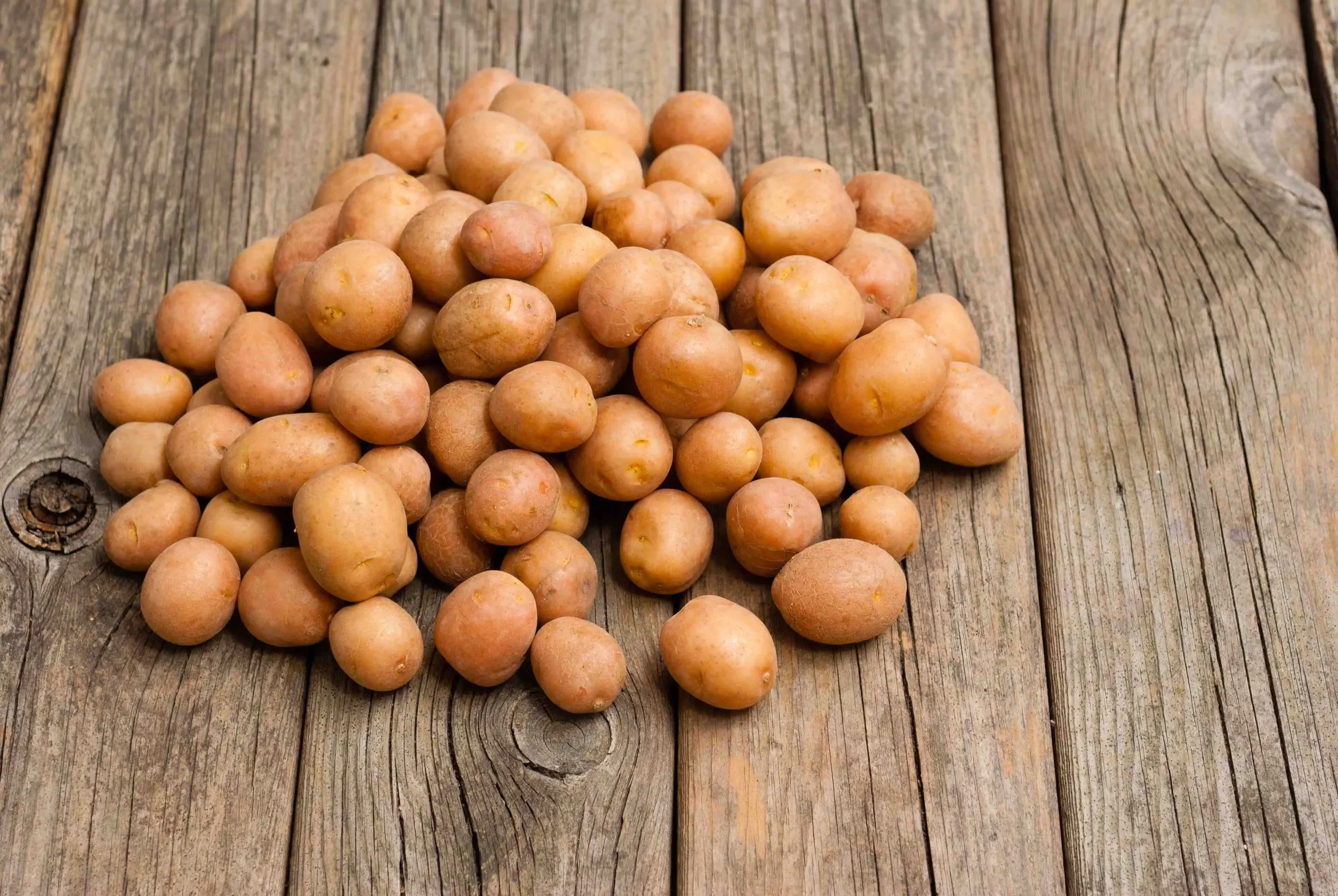 petite potatoes