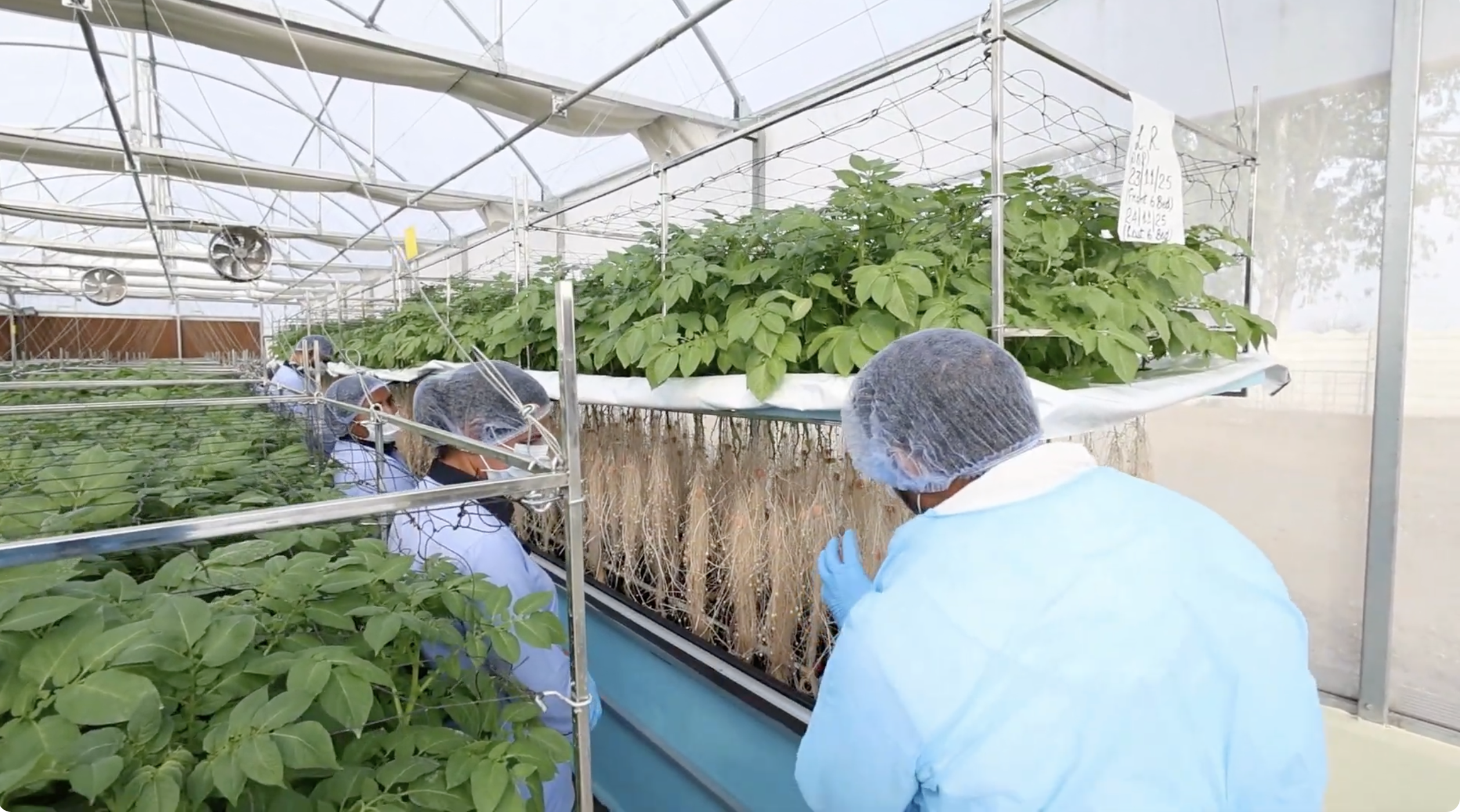 screenshot 2026 03 17 at 5.11.11 pm