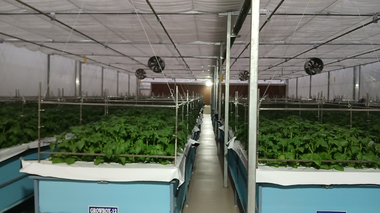 whatsapp image 2026 01 08 at 5.53.52 pm