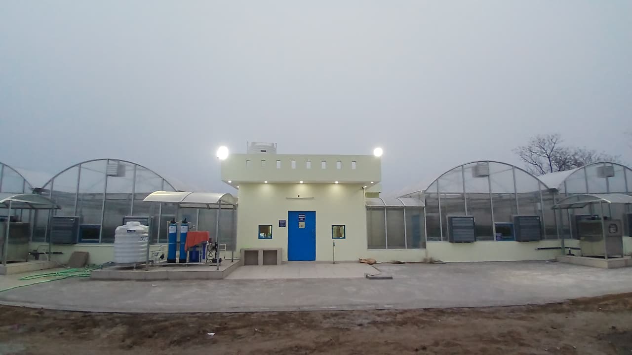 whatsapp image 2026 01 08 at 5.53.53 pm