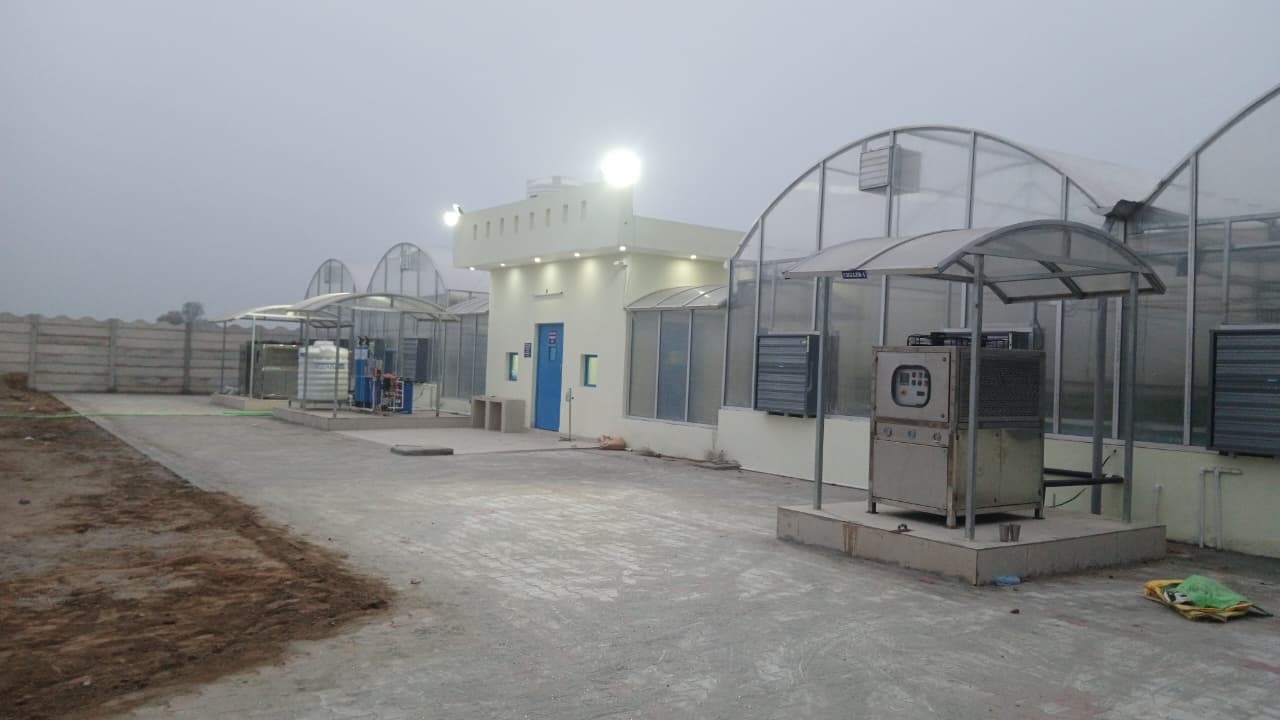 whatsapp image 2026 01 08 at 5.53.54 pm (1)