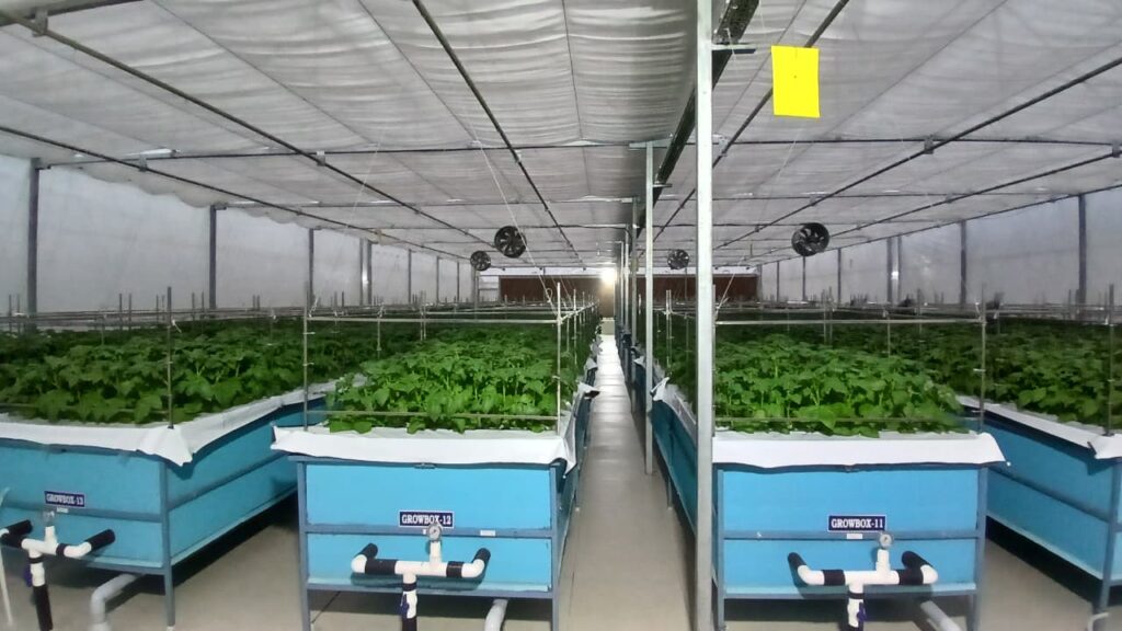 whatsapp image 2026 01 08 at 5.53.54 pm (2)