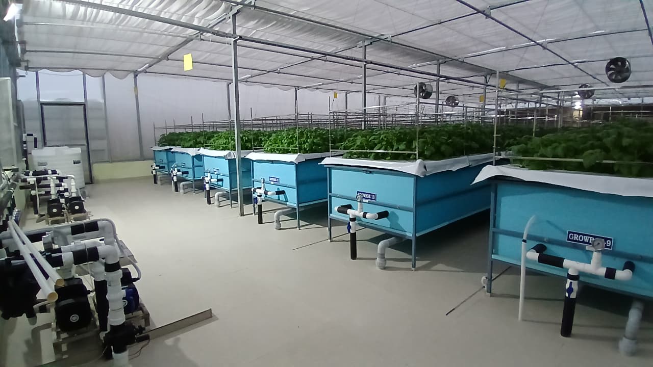 whatsapp image 2026 01 08 at 5.53.54 pm