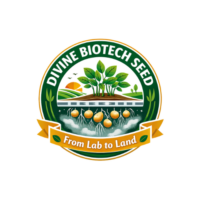 Divine biotech seed logo