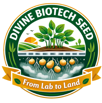 divine biotech seed logo