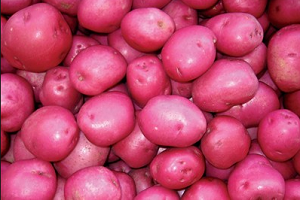 lr potato 500x500